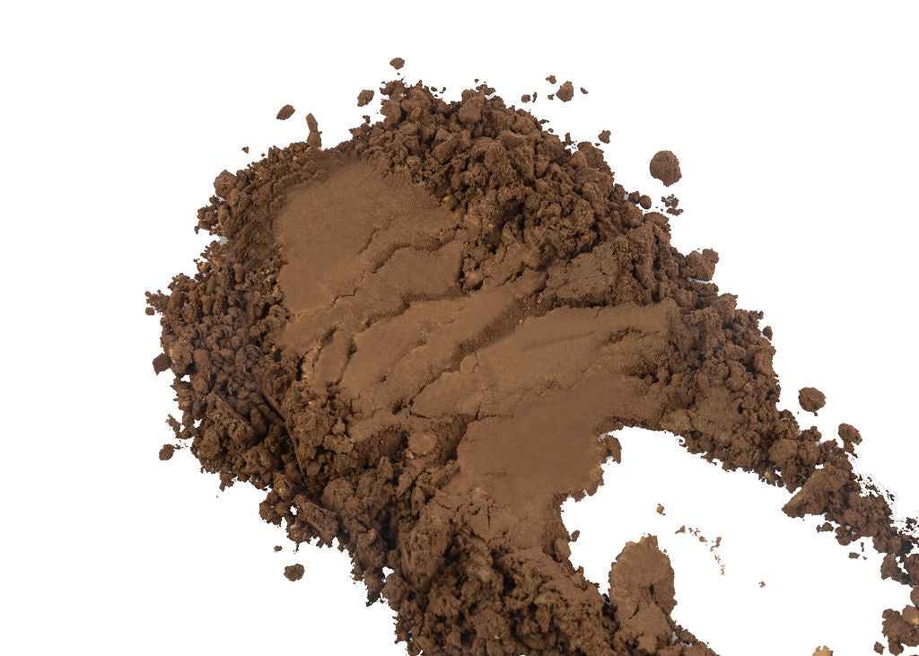 Hojicha Powder - Dark Roasted