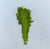 Bulk Uji Matcha 1kg - Premium Latte Grade
